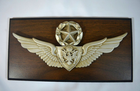 US ARMY MASTER AIRCREW