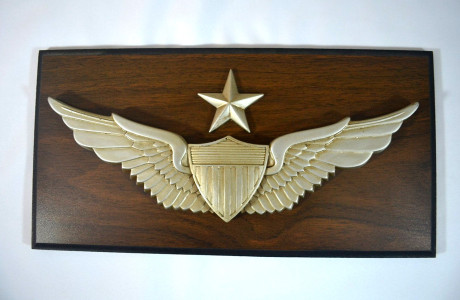 US ARMY SENIOR AVIATOR