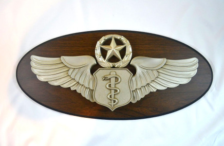 USAF – MASTER FLIGHT SURGEON