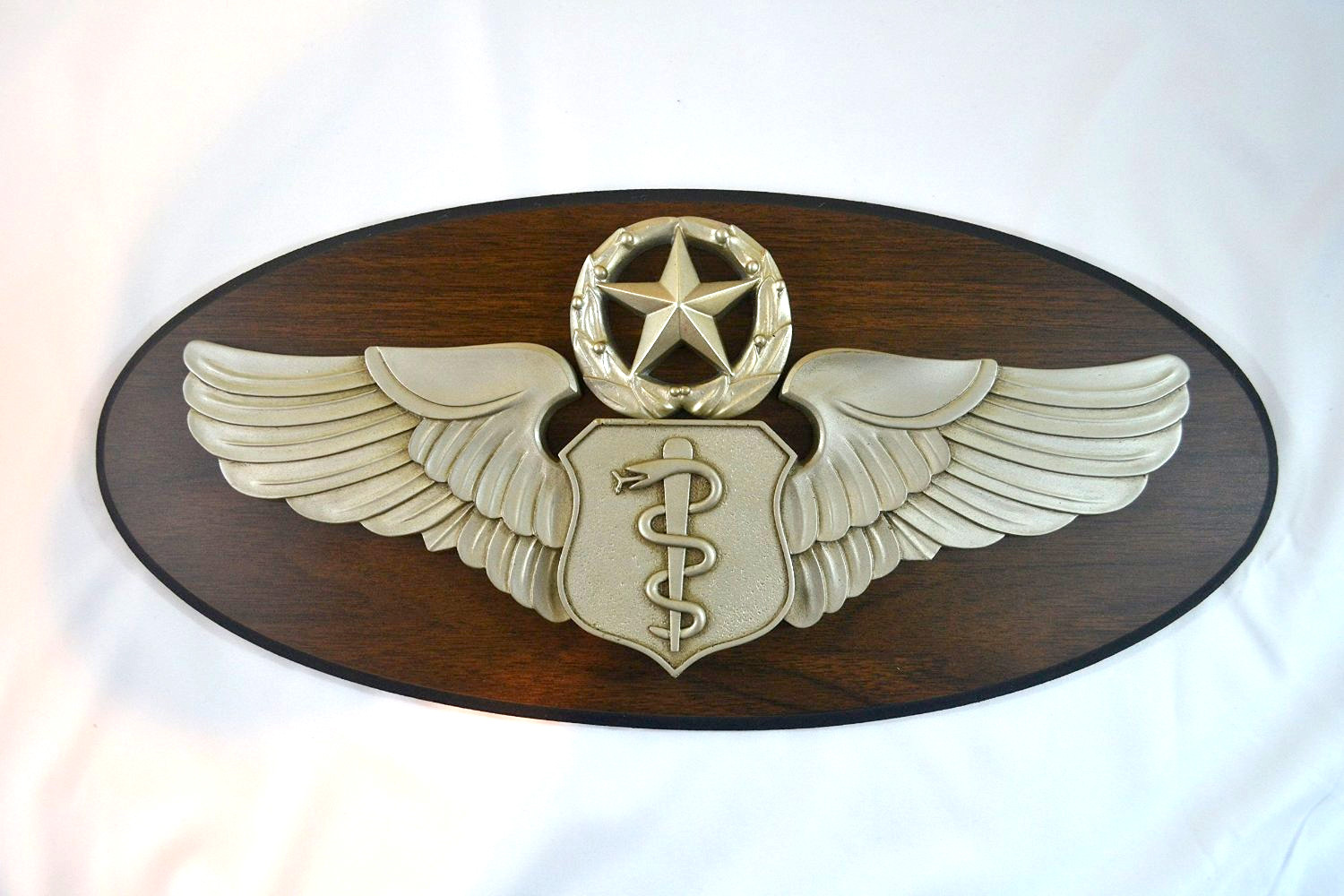 USAF – MASTER FLIGHT SURGEON