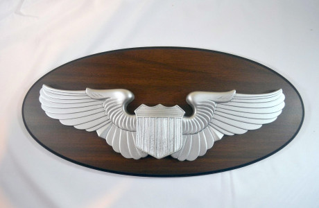 USAF – Pilot