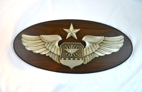 USAF – SENIOR NAVIGATOR / OBSERVER