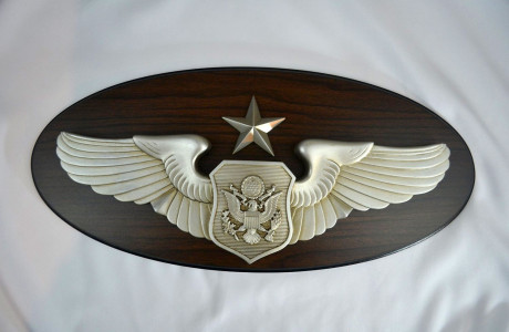 USAF – SENIOR OFFICER AIRCREW