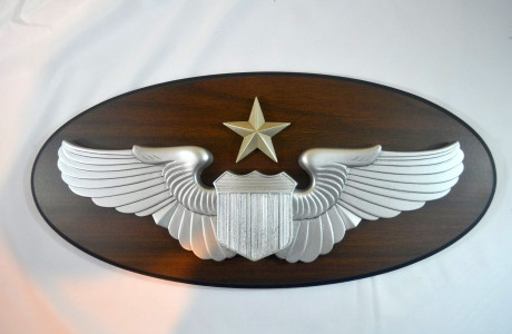 USAF – SENIOR PILOT