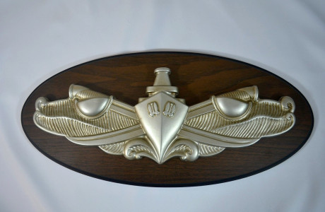 USN SURFACE WARFARE (SILVER)