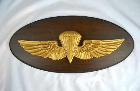 USN/USMC PARACHUTIST