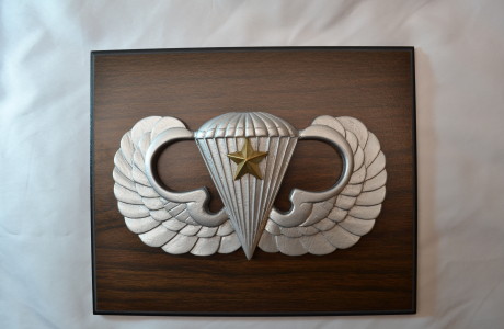 PARACHUTIST – NOVICE COMBAT