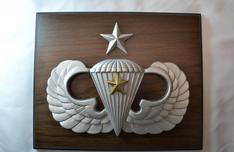 PARACHUTIST – SENIOR COMBAT